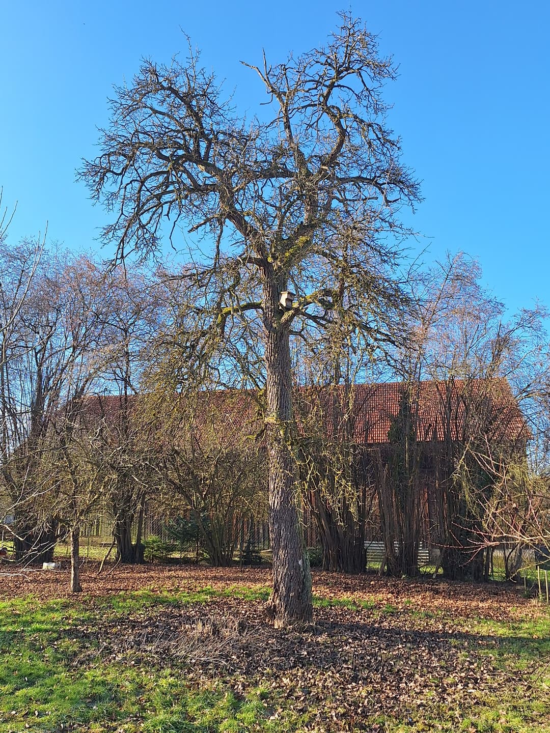 Fehlende Bildbeschreibung