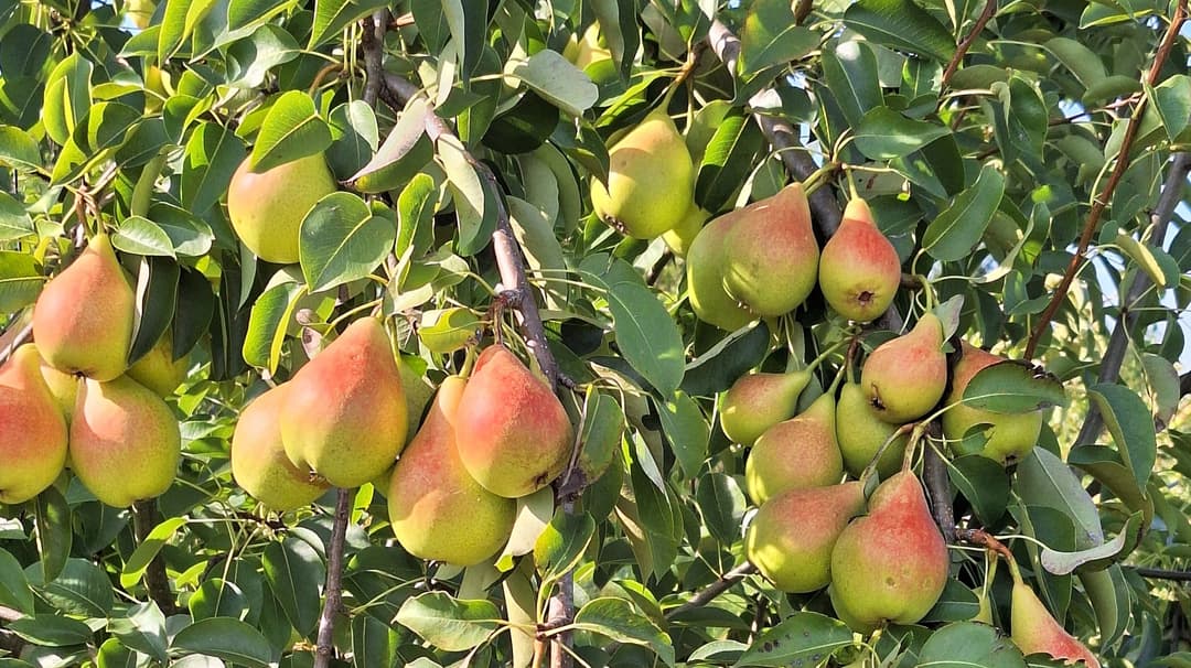 Fehlende Bildbeschreibung