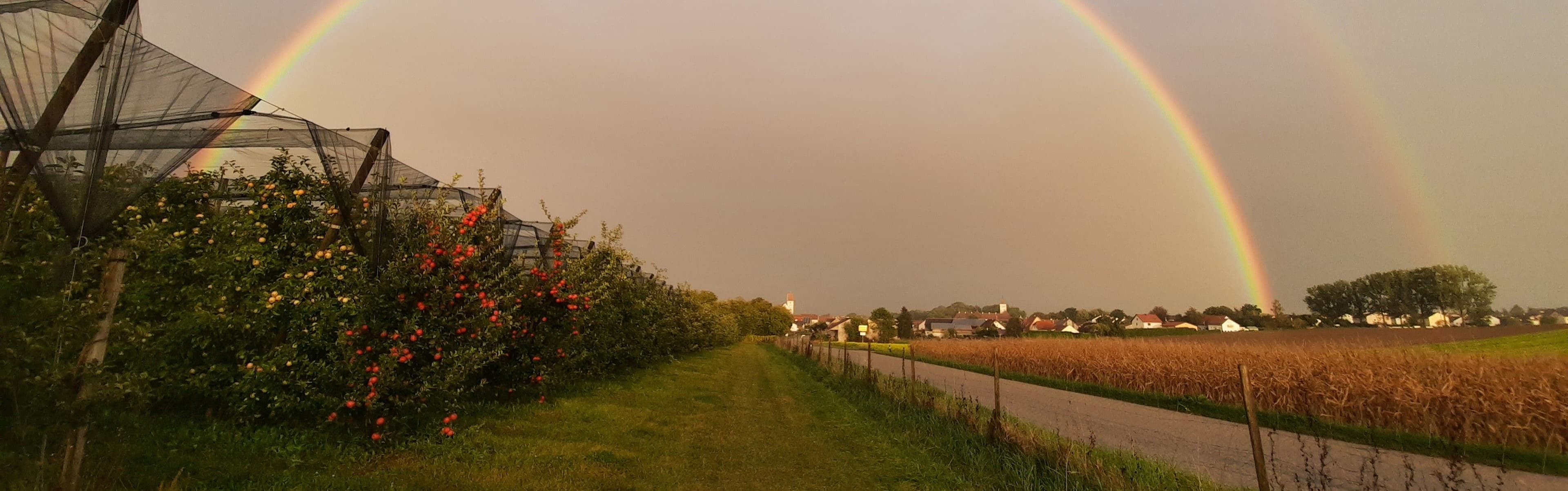 Bildbeschreibung